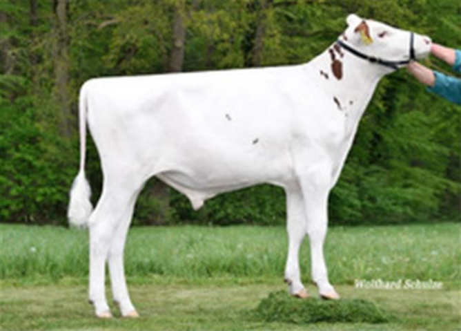 Гарі Ред Ет