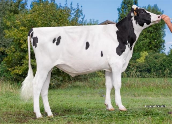 І.Р.І.Карломагно Ет